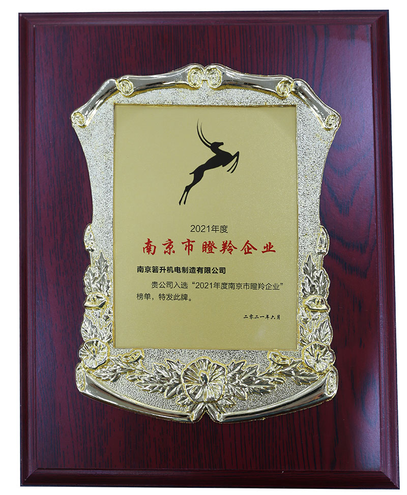 市瞪羚企業(yè)